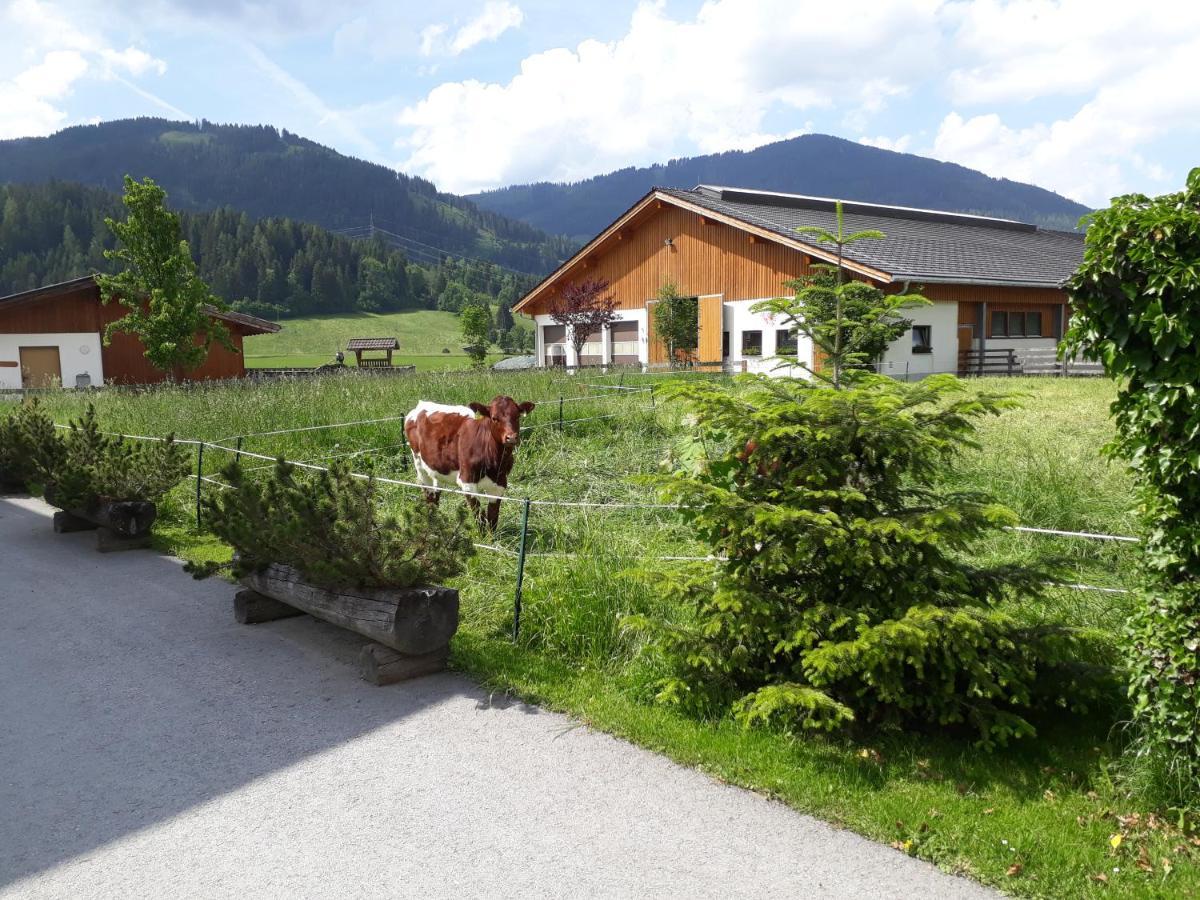 Landhaus Fingerhof Flachau Exterior photo